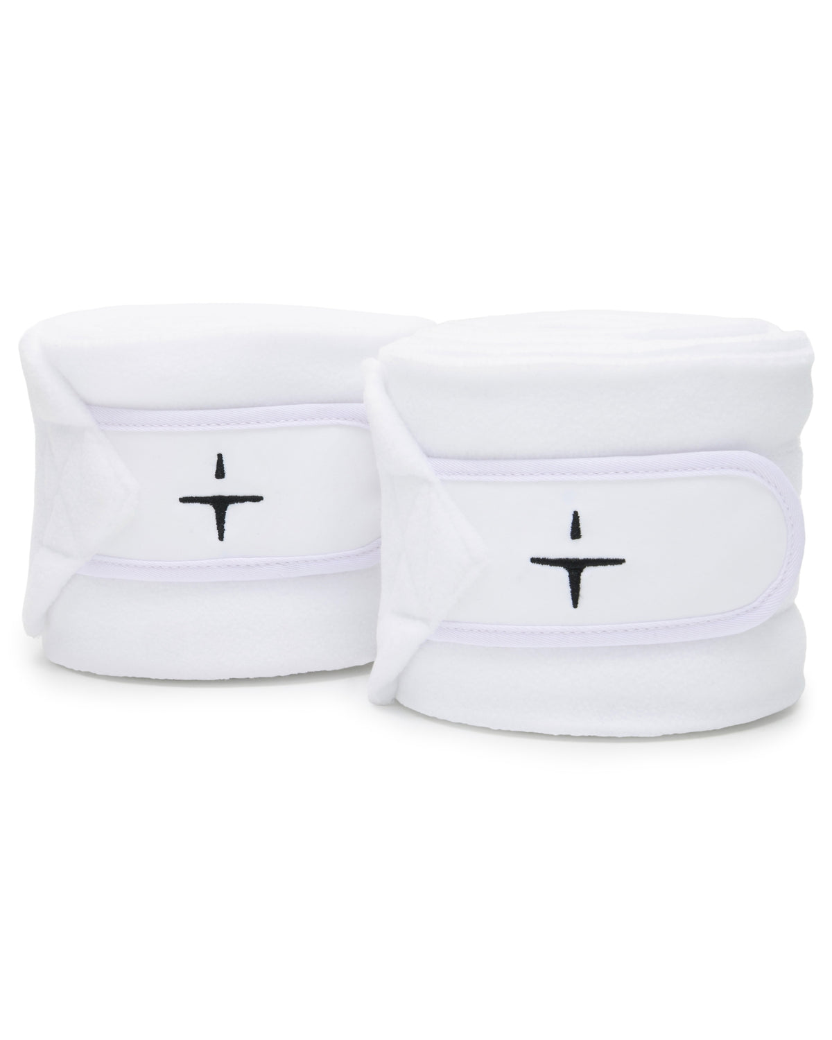 BAH20_FL_2-WHITE.jpg