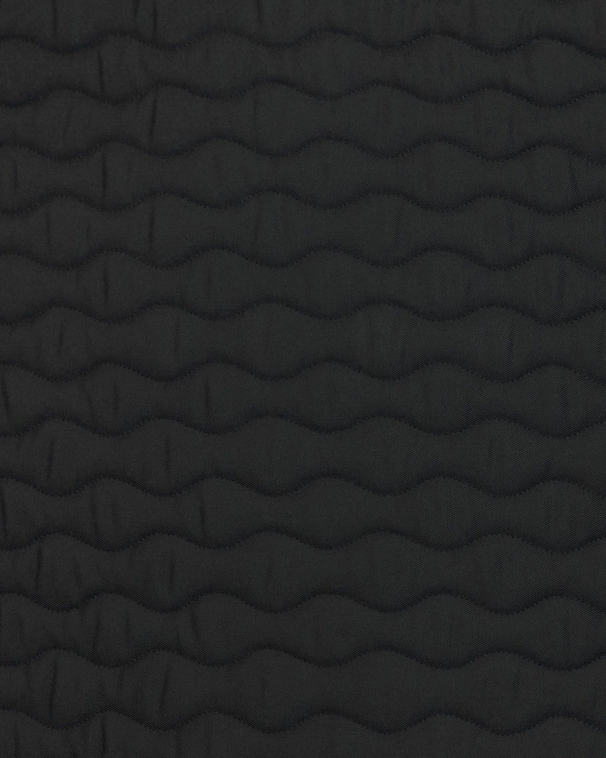 PAHD24_CO-BLACK_2.jpg