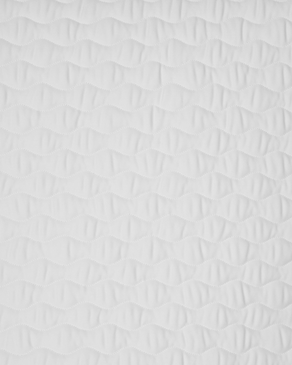 PAHD24_CO-WHITE_2.jpg