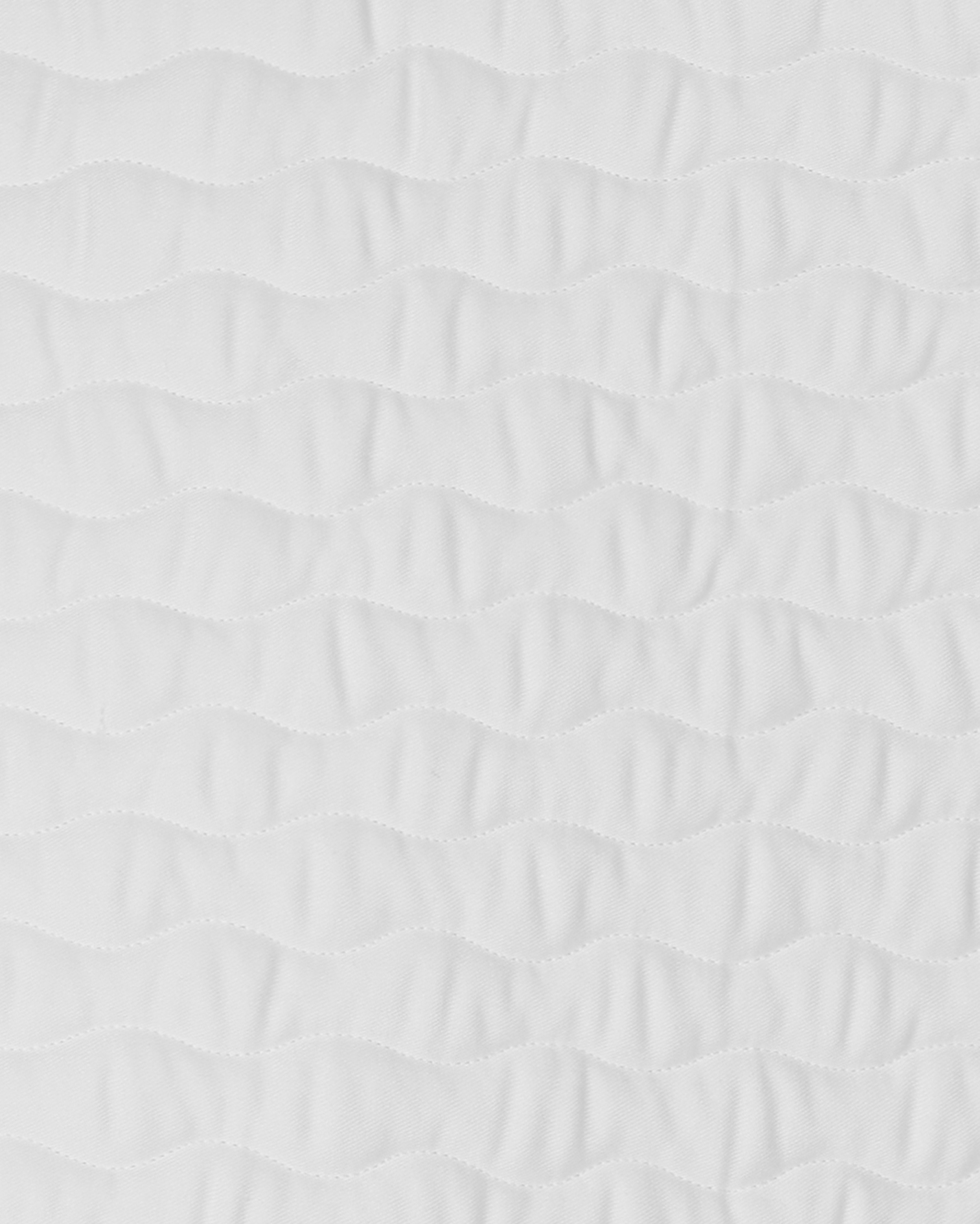 PAHJ24_CO-WHITE_2.jpg