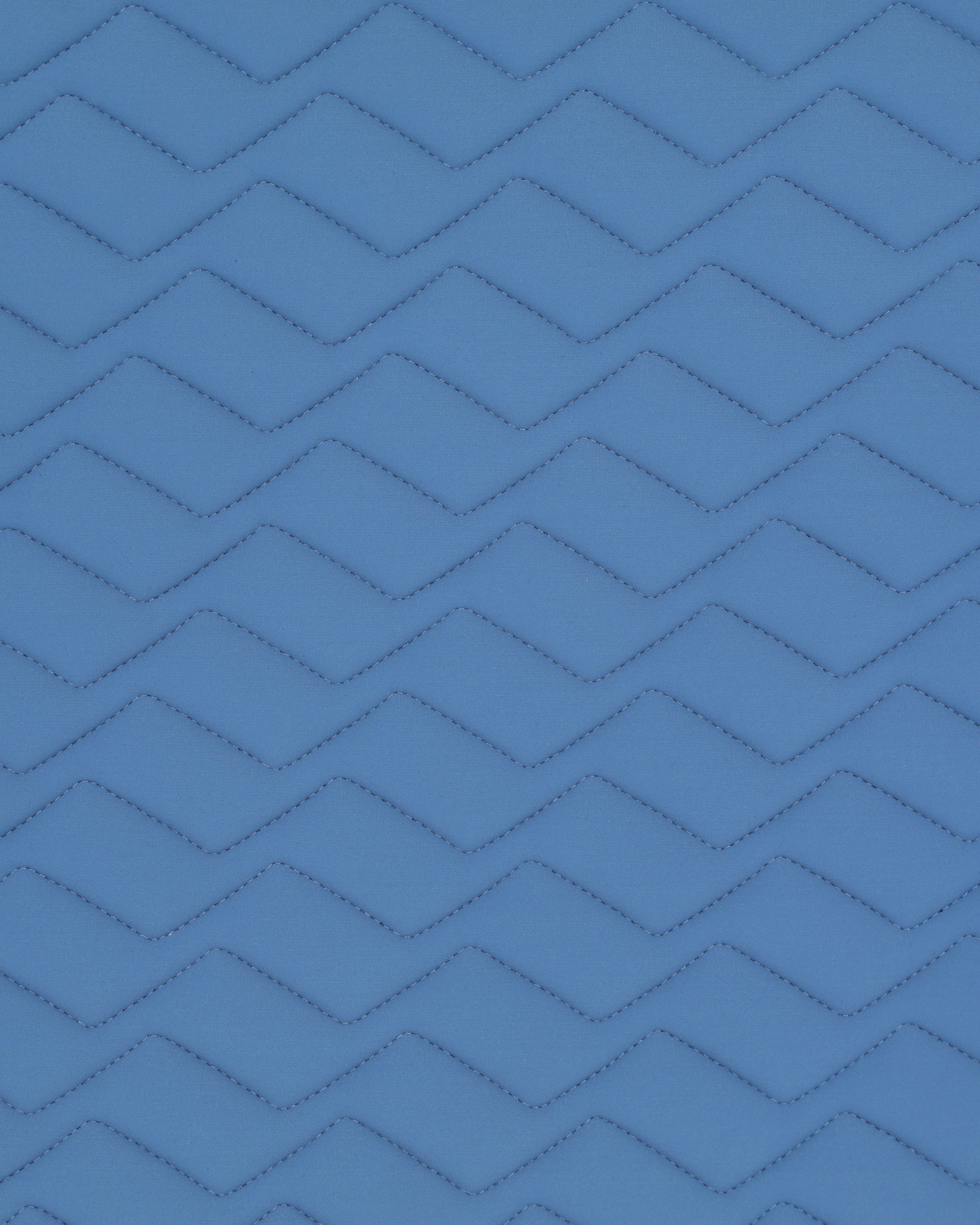 PAHJ28_JE-BLUEFOG_2.jpg