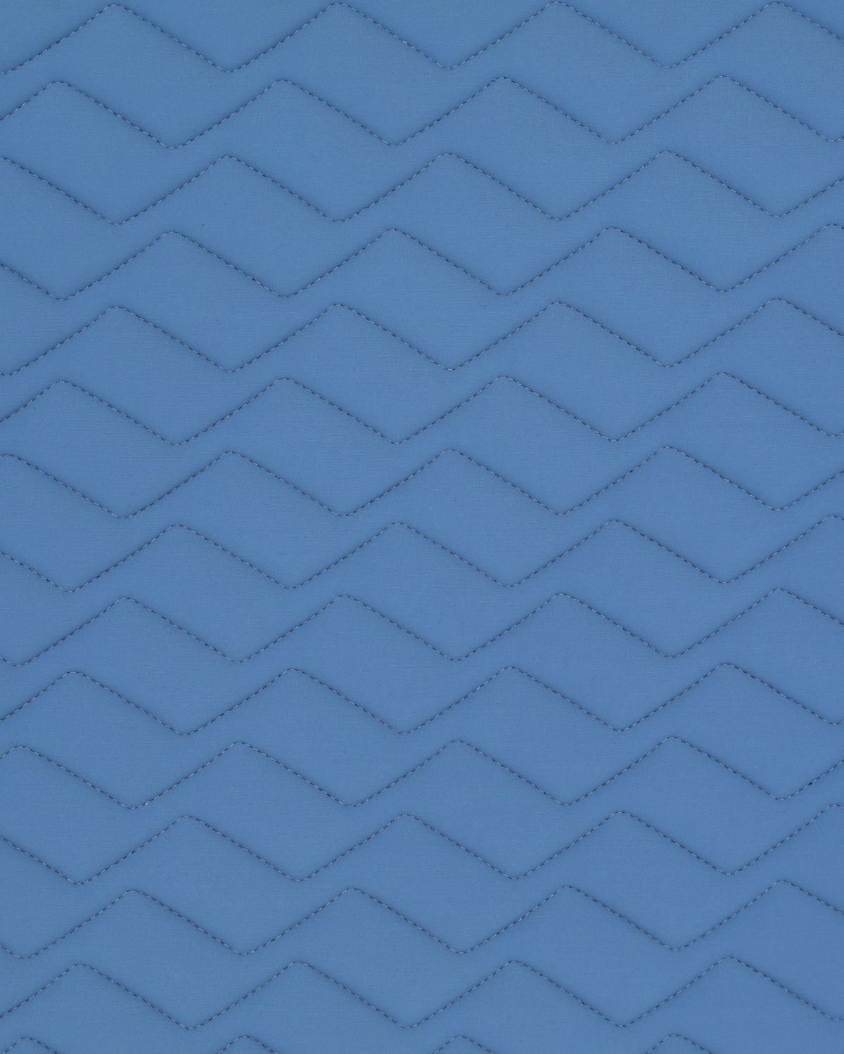 PAHJ28_JE-BLUEFOG_2.jpg