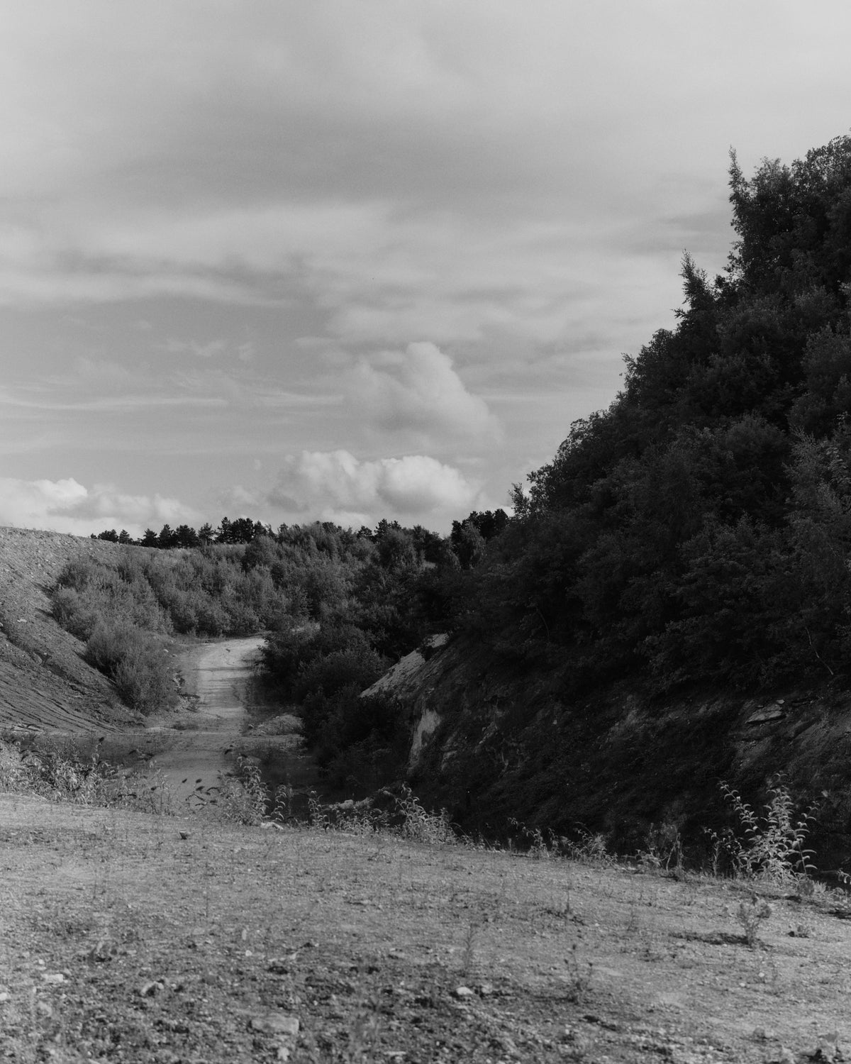An open path and tree line at Faxe Kalkbrud, photographed in black and white for Trolle Projects AW26.