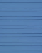 PAHD29_JE-BLUEFOG_2.jpg