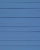PAHJ29_JE-BLUEFOG_2.jpg