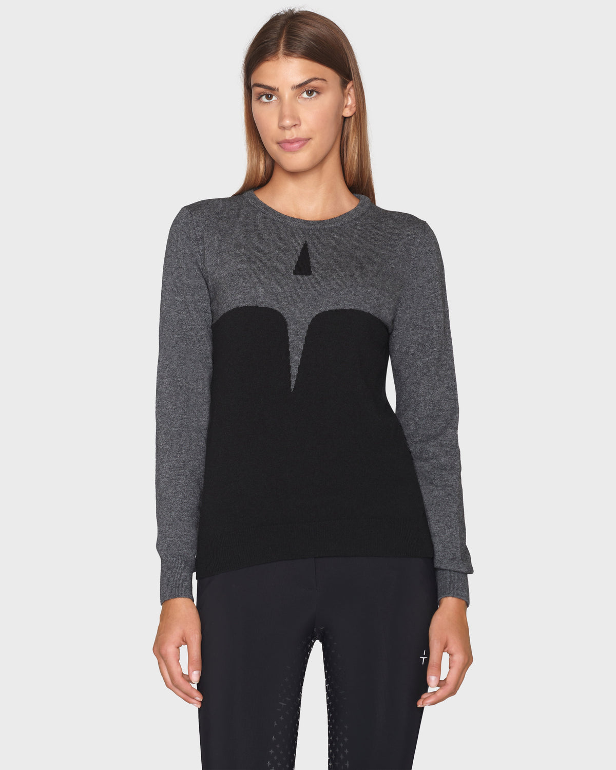 Model image - Cashmere & Wool star logo crew sweater - Earth Grey